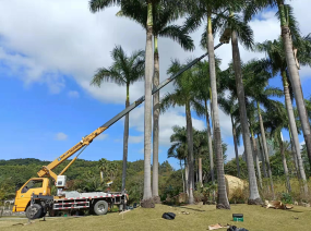 平?jīng)龅跹b與貨運(yùn)服務(wù) 專業(yè)力量，高效運(yùn)輸